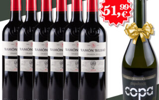 Rioja Crianza Ramón Bilbao 2019 + Proveco Copaboca